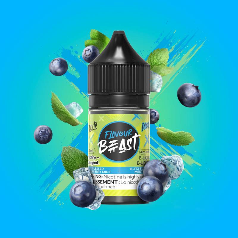 FlavourBeast_BlessedBlueberryMint
