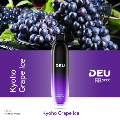 DEU RB5000 Disposable Vape
